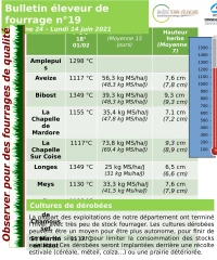 Eleveur de fourrage : Bulletin n°19
