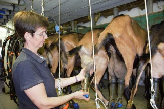 AG association caprine du Rhône 