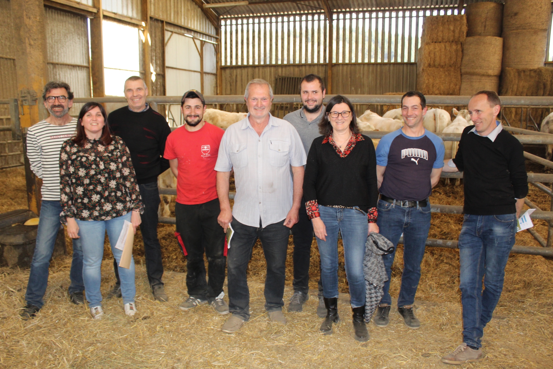 Charolais : visite de l'élevage d'André Damais