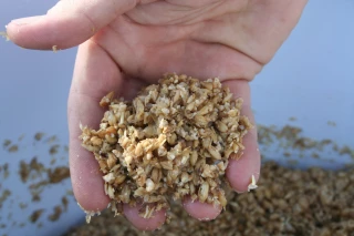 Drêches : ça brasse du côté de la ration