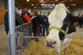 80 élèves de la MFR au jugement de bétail 