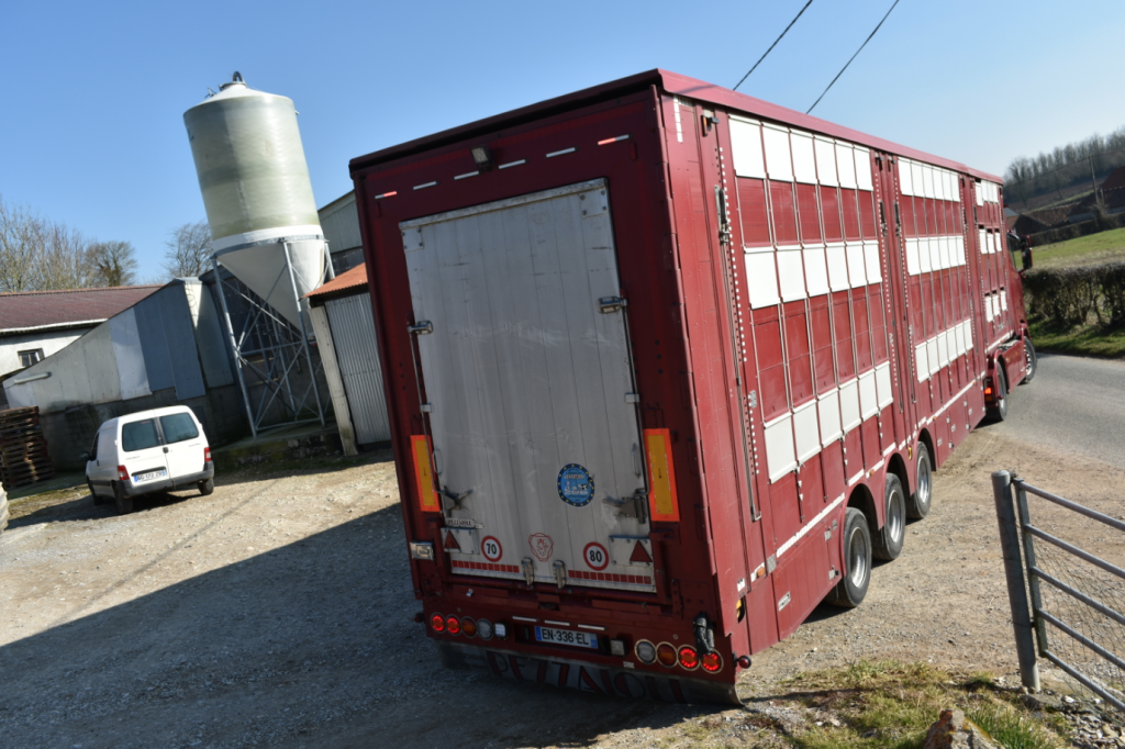 Transport des animaux : attention aux coups de chaleur