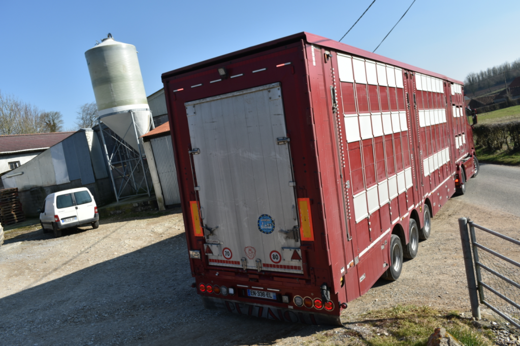 Transport des animaux : attention aux coups de chaleur 