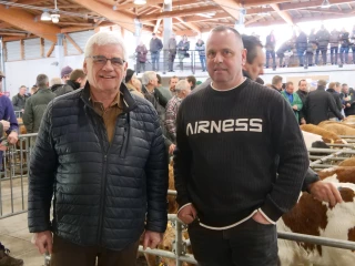 Le marché veaux, garant de prix stables