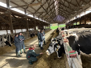 Du liant entre VetAgro Sup et la filière lait