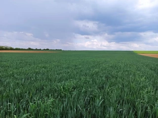Les tours d’eau ont démarré
