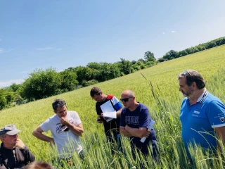 Des variétés AB anciennes en test