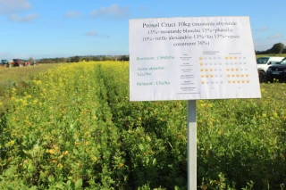 Fleuri'Val : les couverts mellifères des agriculteurs du Val de Saône