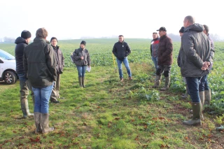 Ensemble vers une agriculture rentable et économe en phytos