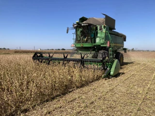 Les récoltes d’automne sont rentrées