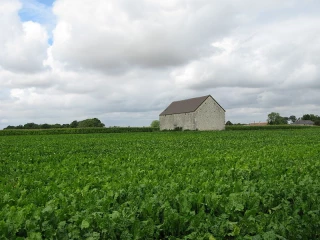 Fugit (LREM) : "Le débat sur le glyphosate ne doit pas se faire sur le dos des agriculteurs"