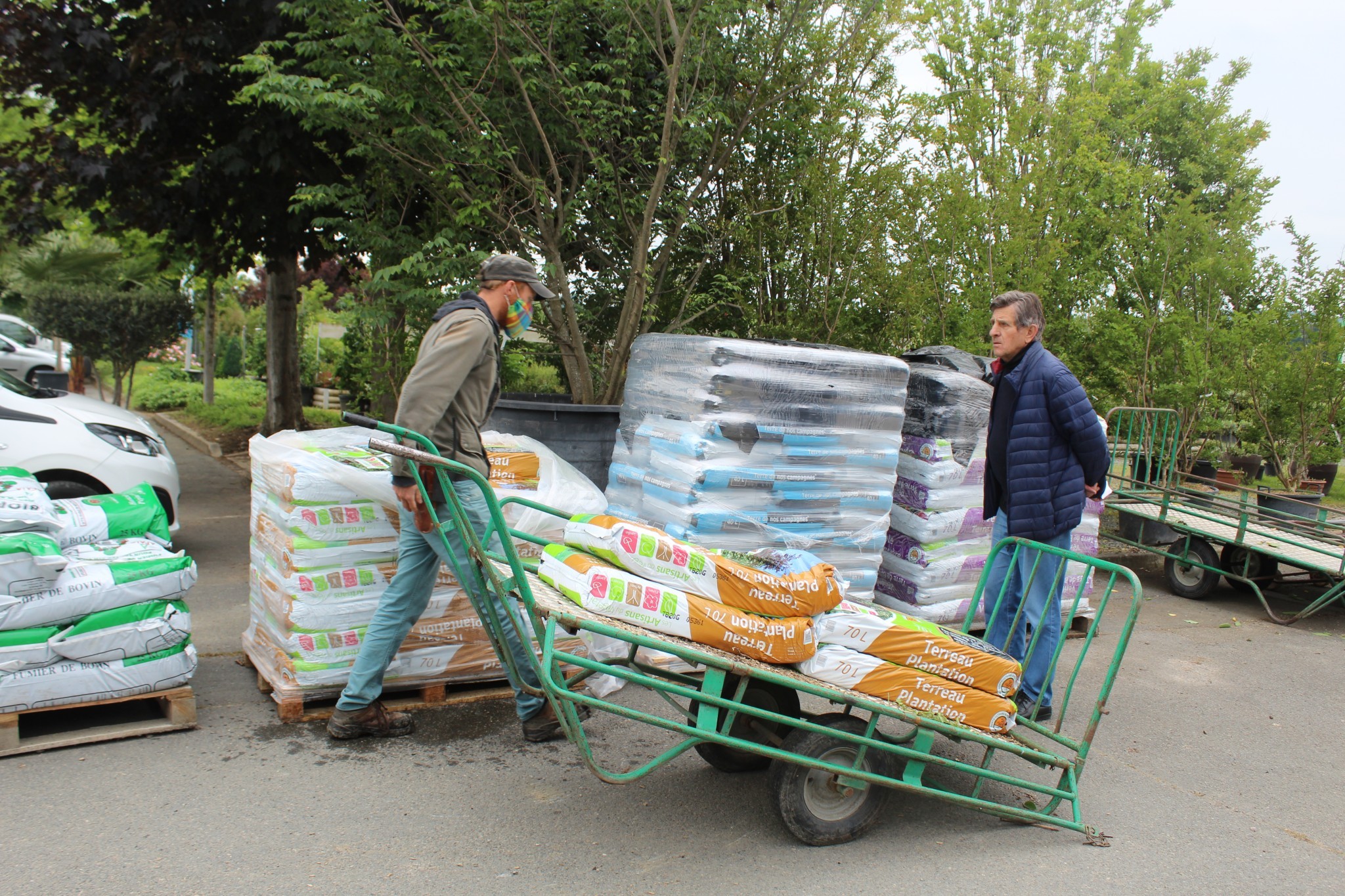 Des aides pour la filière horticole