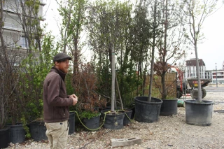 Racheter les plantes invendues : le pari écoresponsable de Nicolas Talliu
