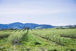 Une première mise en eau hivernale