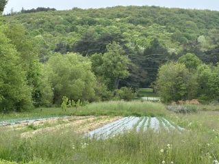 Opération remobilisation de terres agricoles