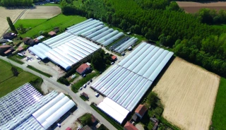 Garantir la sécurité lors du blanchiment des serres