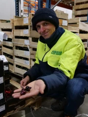 Une initiative typique de l’anti-gaspillage
