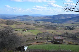 « Le Beaujolais redevient une valeur sûre »