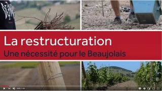La restructuration vue par des acteurs de la filière