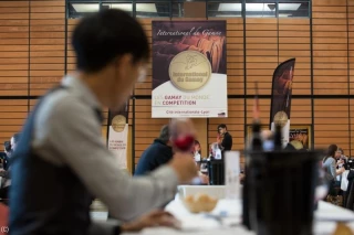 Les cuvées de gamay en compétition