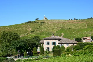 Le cru fleurie en avant vers la montée en gamme