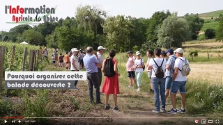La balade découverte de la biodiversité au mont Brouilly