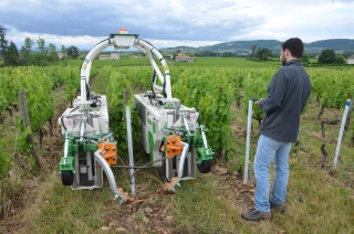 Le robot Ted testé en Beaujolais [Vidéo]