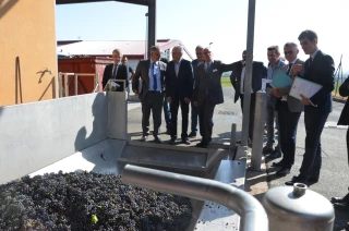 Les ODG et la coopération du Beaujolais interpellent le préfet de région