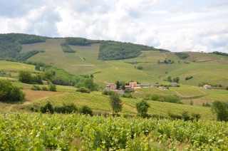 Le Sénat propose une aide supplémentaire dans le cadre du PLF 2021