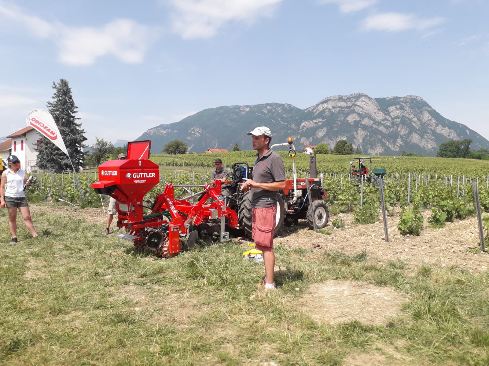 On remet le couvert dans les vignes