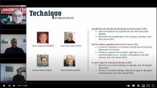 Tout savoir sur les sols du Beaujolais