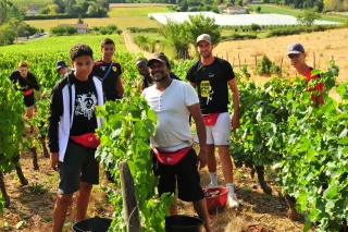 Vendangeurs sans frontières