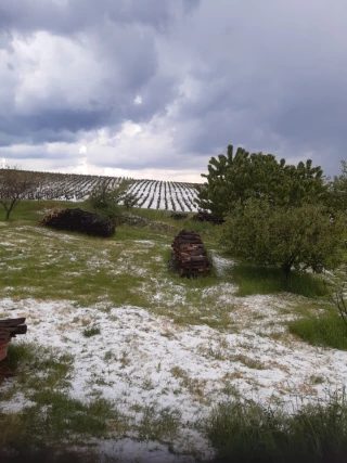 Un épisode de grêle soudain et très localisé au nord du Beaujolais