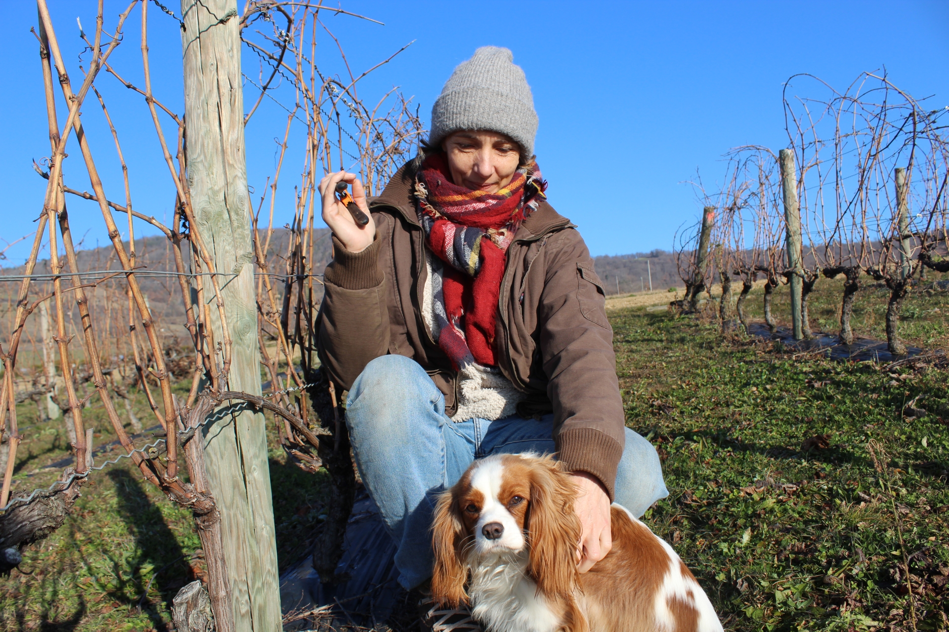 Coteaux-du-lyonnais : témoignage d'une viticultrice atypique