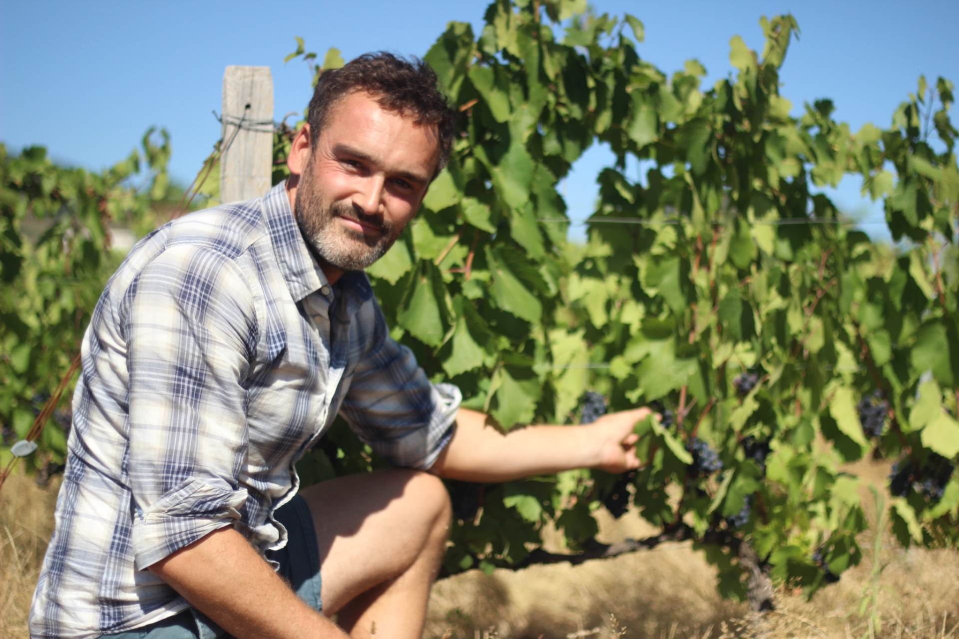 Hadrien Houbert, l’artisan du bois passionné par la vigne
