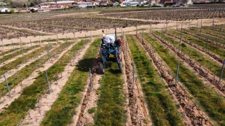 "Un enjeu essentiel de moderniser le vignoble"