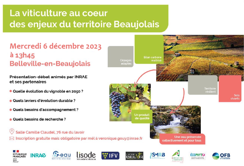 La viticulture au cœur des enjeux du Beaujolais