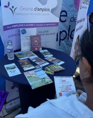 Graine d'emplois
