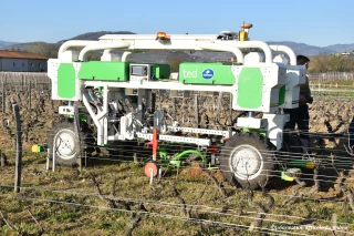 Ted, le robot viticole en test dans le Beaujolais