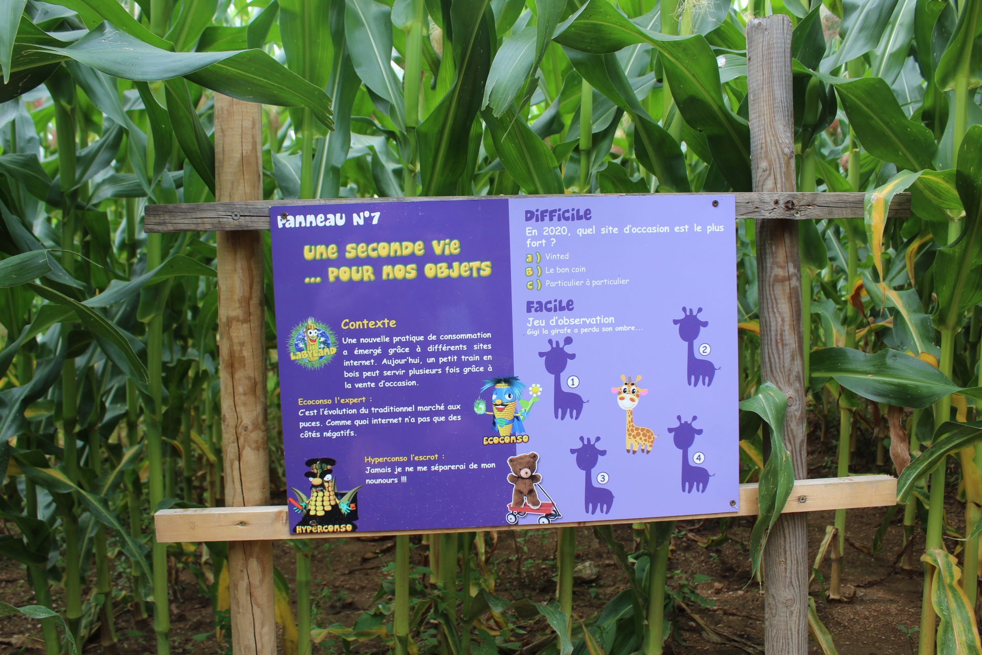 Labyland : un champ de maïs pour terrain de jeu