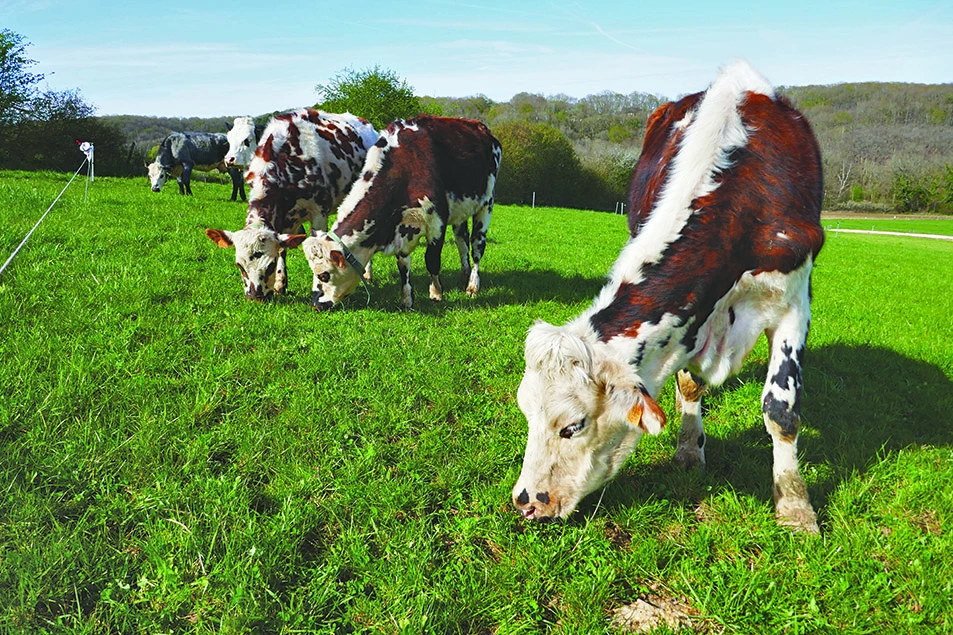 Un campus dédié à l’agriculture de demain