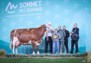 Le Rhône présent à Cournon