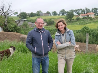 Des bovins lait aux porcins, une belle transmission 