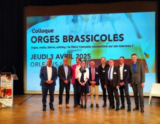 Du champ à la chope, la filière en action