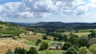 Le PLUi-H, un cap pour préserver les terres beaujolaises