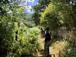 Un été rhodanien semé d’activités