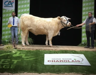 Les Rhodaniennes sur le podium