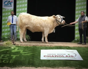 Les Rhodaniennes sur le podium