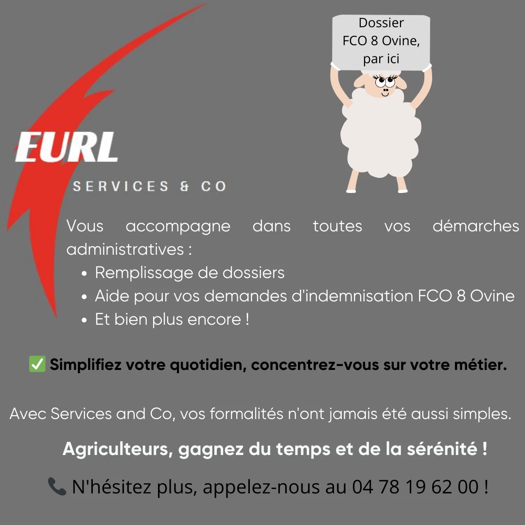 PUB Services & Co