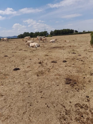 Sécuriser l’accès à l’eau